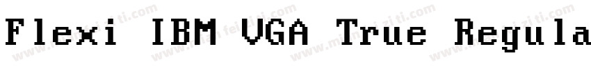 Flexi IBM VGA True Regular字体转换